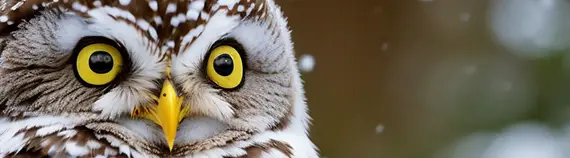 yeux jaunes et écarquillés d'un hibou grand duc sous la neige